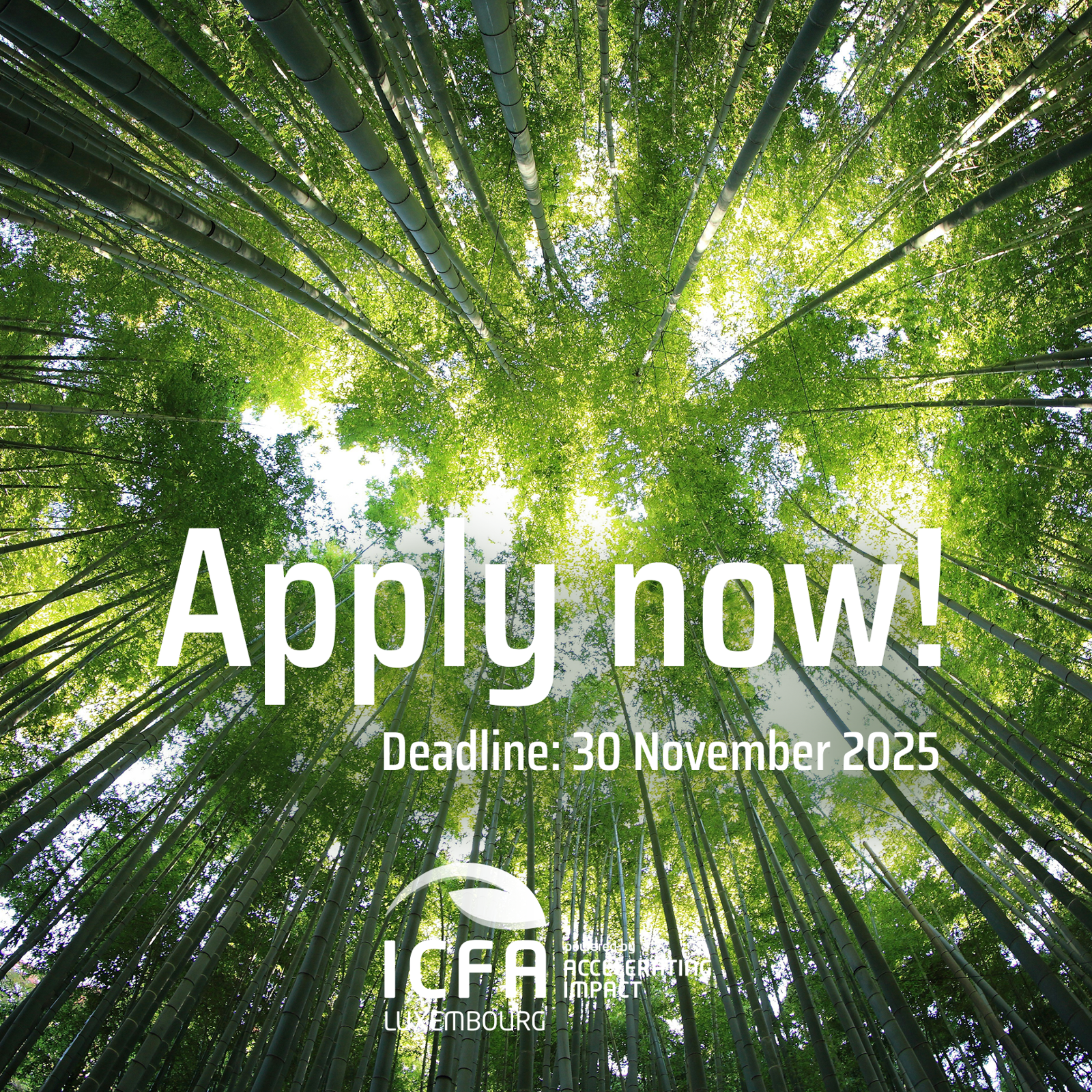Now open: Call for Expression of Interest for the ICFA 2026 Cohort
